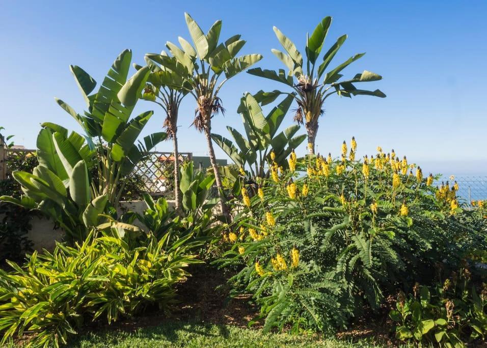 Casa Vina: A Spectacular Away From It All Holiday La Orotava Εξωτερικό φωτογραφία