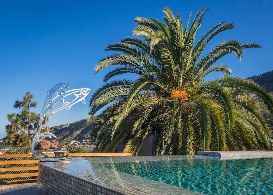 Casa Vina: A Spectacular Away From It All Holiday La Orotava Εξωτερικό φωτογραφία
