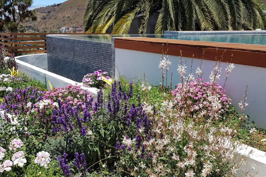 Casa Vina: A Spectacular Away From It All Holiday La Orotava Εξωτερικό φωτογραφία